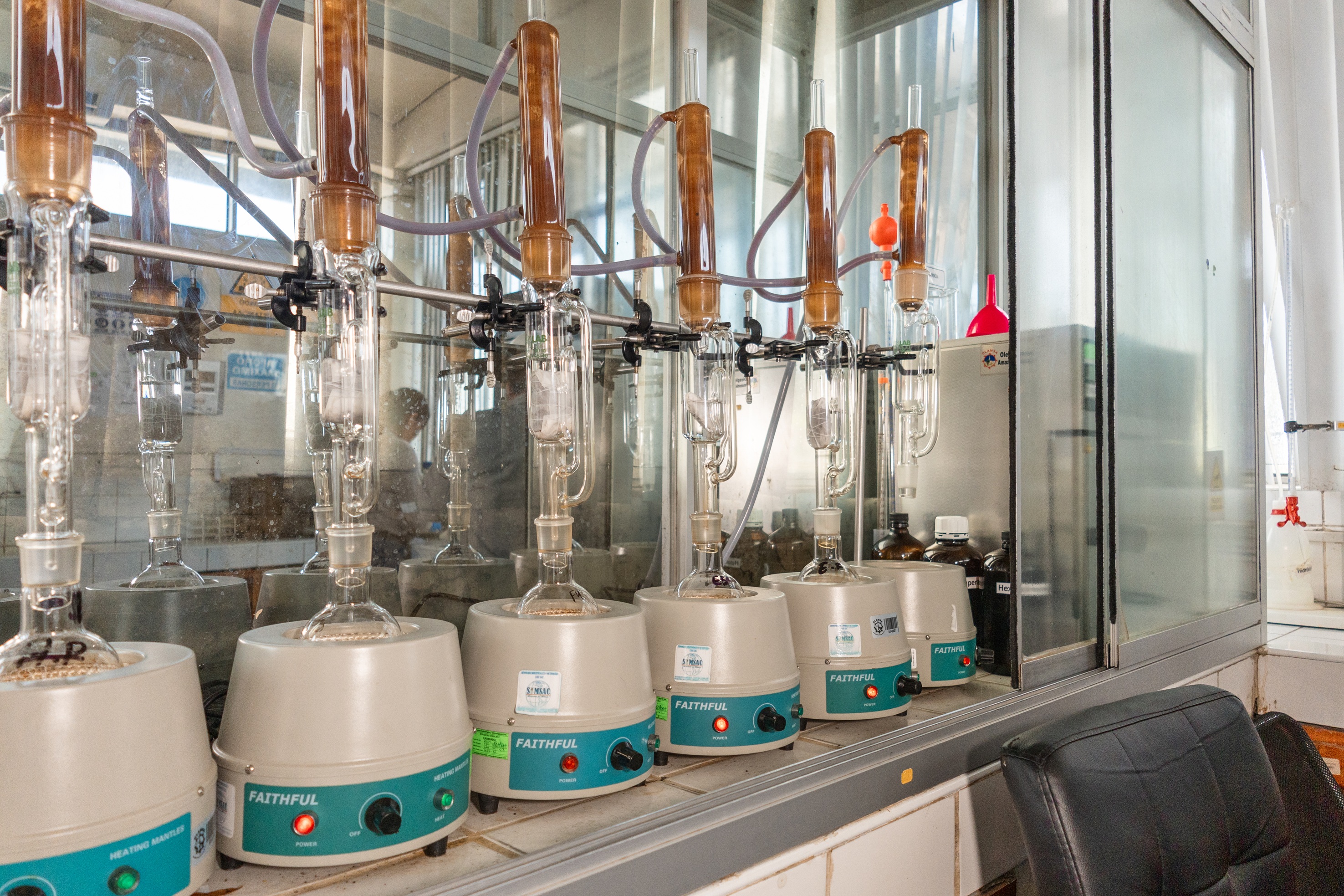 Proceso de producción